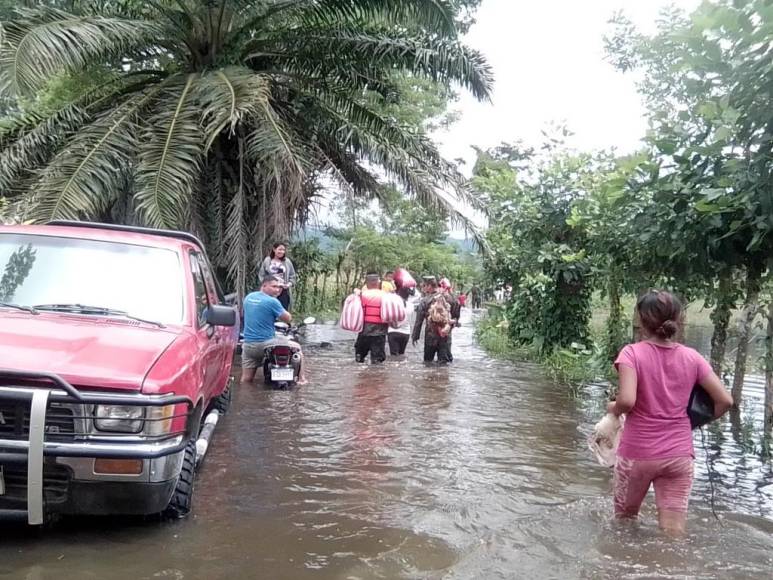 Sacados en brazos, con pocas pertenencias y sus animalitos: el drama que viven familias evacuadas (Fotos)