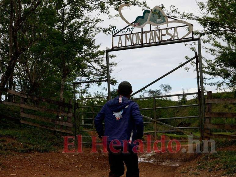 Destrucción, amenazas, ranchos y ganado: Así se maneja la tierra en la Biósfera del Río Platano