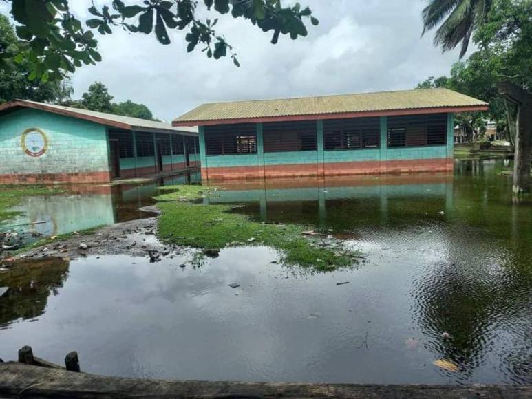 Fotos: Varias comunidades de Gracias a Dios quedaron totalmente inundadas por la tormenta Julia