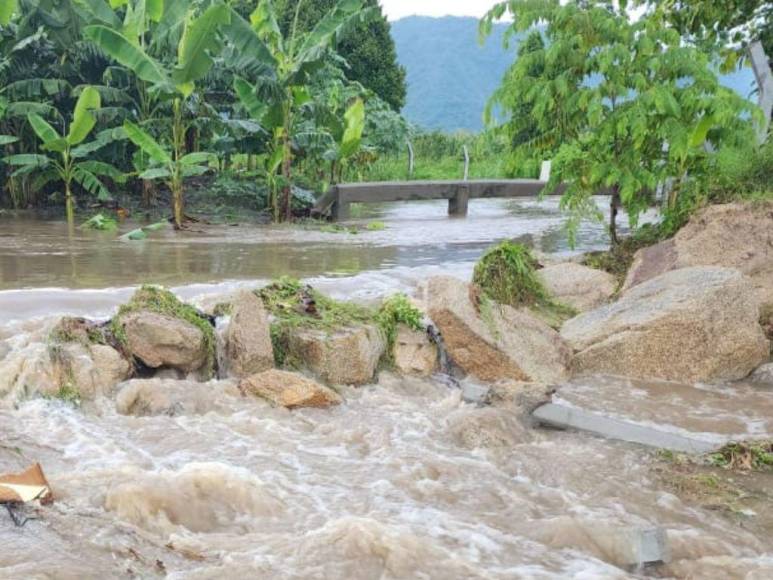 Un muerto, evacuaciones y múltiples inundaciones: Choloma vuelve a estar en riesgo por Julia