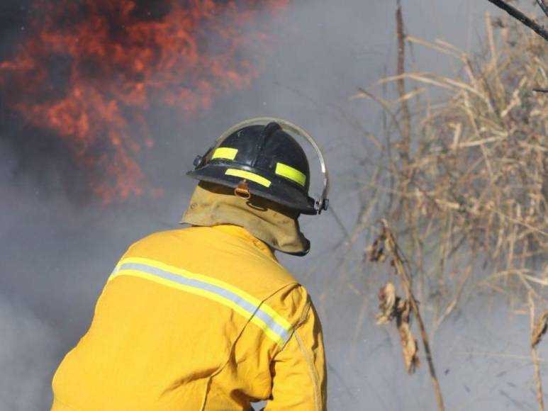 Las impactantes imágenes que dejó el incendio de una zacatera en la capital