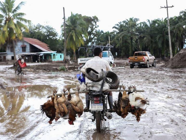 Comienzan evacuaciones en zonas de riesgo de Honduras ante tormenta Julia