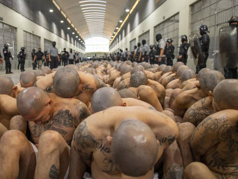 Tatuados, descalzos y esposados: impresionantes fotos de miles de pandilleros llegando a la megacárcel de El Salvador