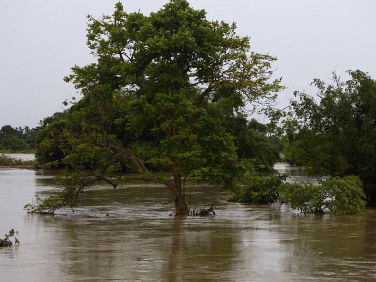 Huracán Ernesto azota Puerto Rico: Crisis eléctrica y refugios llenos