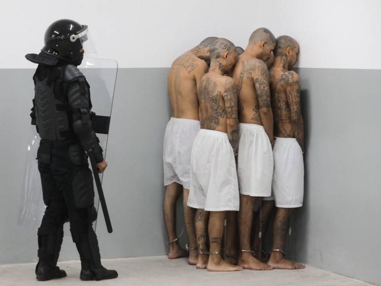 Tatuados, descalzos y esposados: impresionantes fotos de miles de pandilleros llegando a la megacárcel de El Salvador