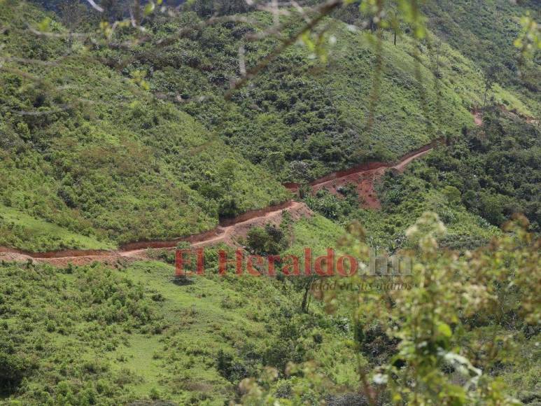 Biósfera del Río Plátano: 100 kilómetros de una carretera ilegal que amenaza un pulmón mundial