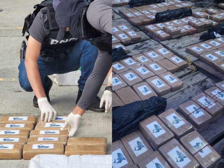 Trasladan a la capital más de 500 kilos de cocaína decomisada a colombianos