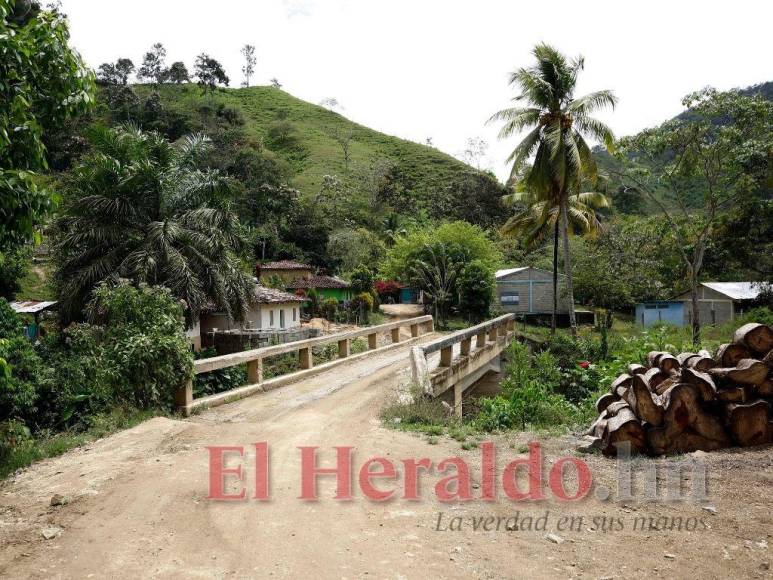 Destrucción, amenazas, ranchos y ganado: Así se maneja la tierra en la Biósfera del Río Platano