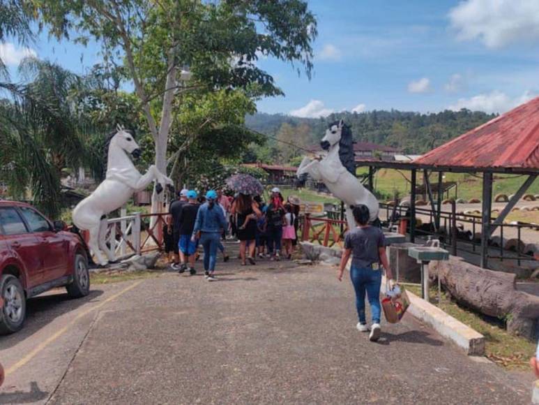 Tras controvertido cierre, Zoológico Joya Grande reabre sus puertas