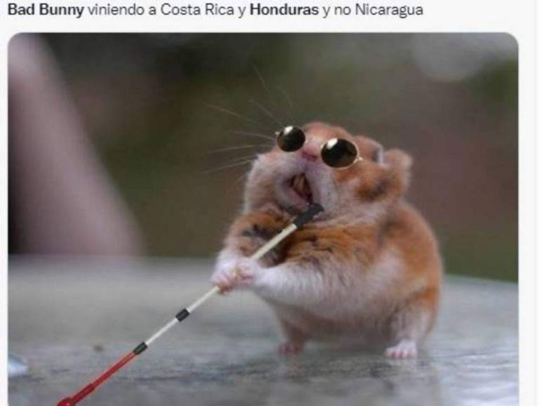 Los memes más divertidos que dejó el anuncio del concierto de Bad Bunny en Honduras