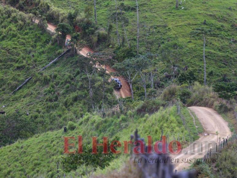 Destrucción, amenazas, ranchos y ganado: Así se maneja la tierra en la Biósfera del Río Platano