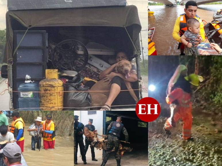 Sacados en brazos, con pocas pertenencias y sus animalitos: el drama que viven familias evacuadas (Fotos)