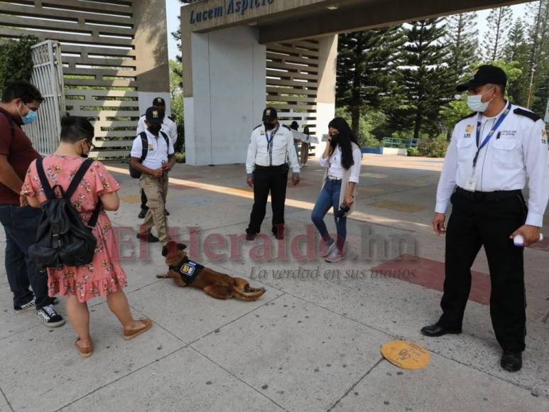 Incertidumbre y emoción tras retorno de alumnos y docentes a clases presenciales en la UNAH