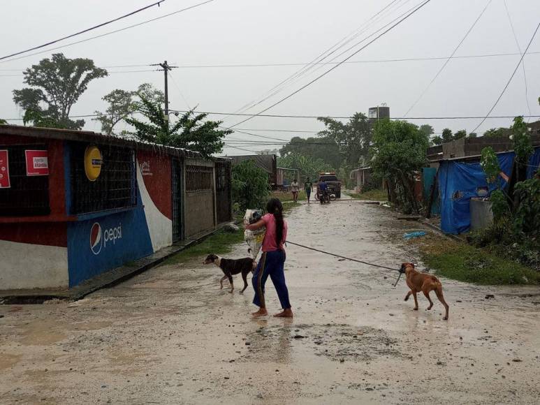 Un muerto, evacuaciones y múltiples inundaciones: Choloma vuelve a estar en riesgo por Julia