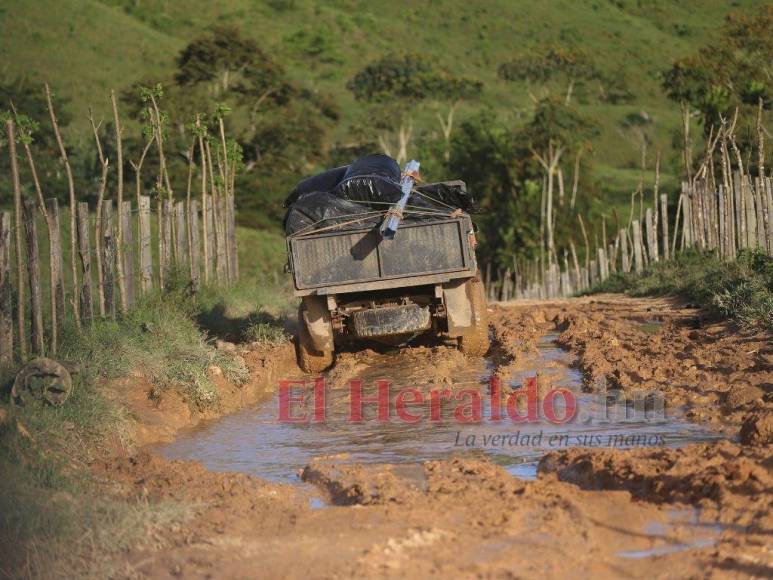 Biósfera del Río Plátano: 100 kilómetros de una carretera ilegal que amenaza un pulmón mundial