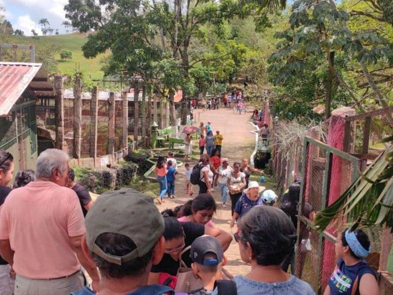 Tras controvertido cierre, Zoológico Joya Grande reabre sus puertas