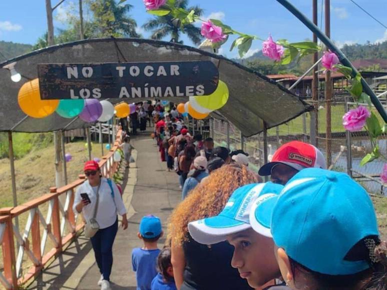 Tras controvertido cierre, Zoológico Joya Grande reabre sus puertas