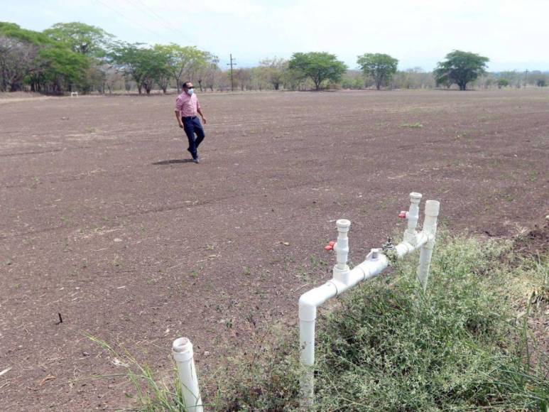 Proyectos estatales que se encuentran abandonados en Honduras