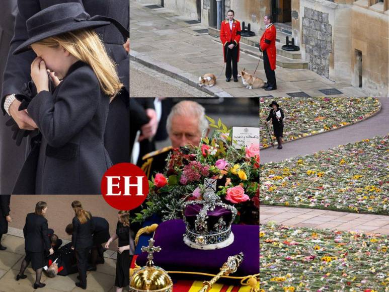 Desmayos, flores y mascotas: Lo que no se vio en televisión del funeral de la reina Isabel II