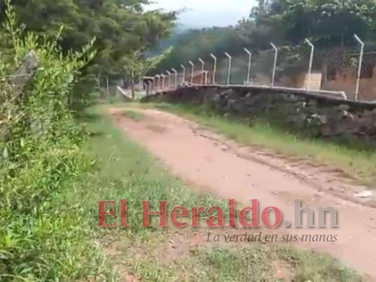 Así fue el mortal ataque de perros que acabó con la vida de un hombre en El Sauce, Valle de Ángeles