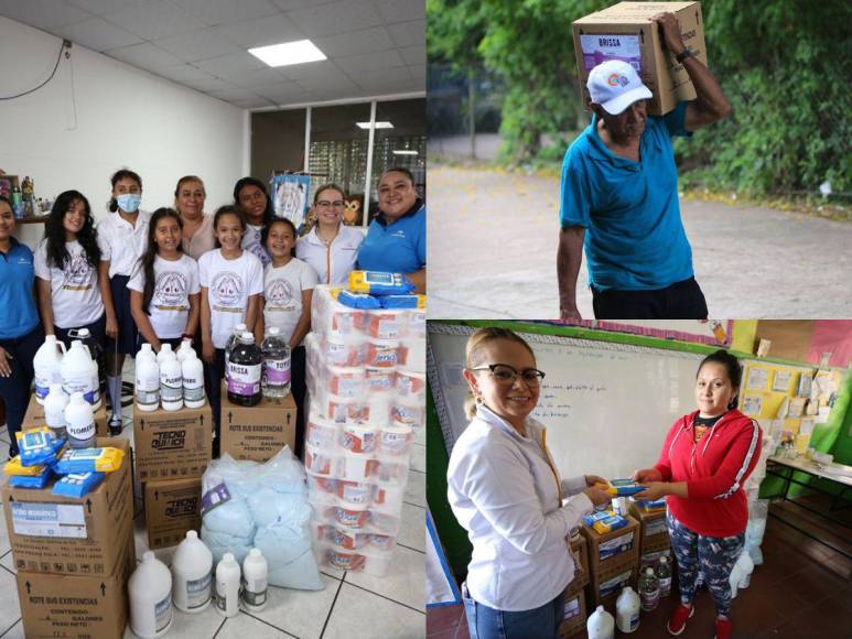 Fundación Terra se proyecta con Escuelas Amigables con el Ambiente