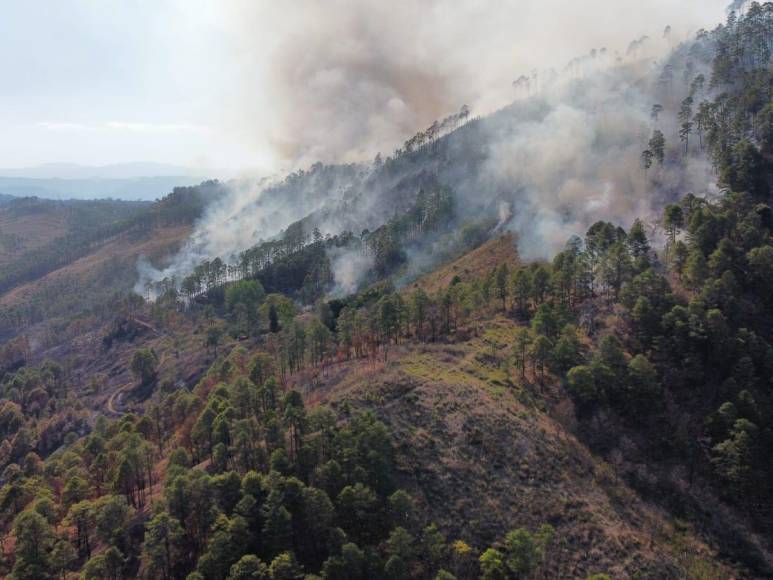 Las impactantes imágenes del incendio forestal que arrasó con todo a su paso en cerro El Trigo