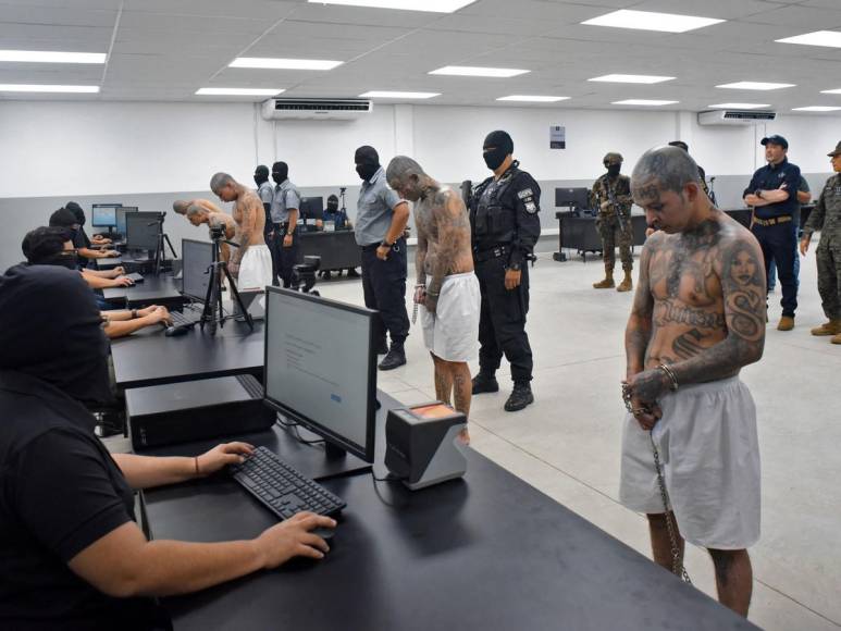 Tatuados, descalzos y esposados: impresionantes fotos de miles de pandilleros llegando a la megacárcel de El Salvador