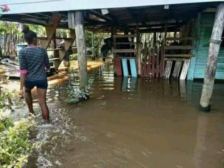 Fotos: Varias comunidades de Gracias a Dios quedaron totalmente inundadas por la tormenta Julia