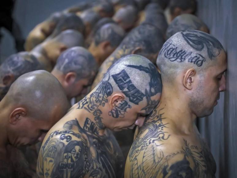 Tatuados, descalzos y esposados: impresionantes fotos de miles de pandilleros llegando a la megacárcel de El Salvador