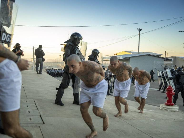 Tatuados, descalzos y esposados: impresionantes fotos de miles de pandilleros llegando a la megacárcel de El Salvador