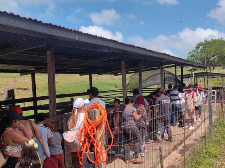 Tras controvertido cierre, Zoológico Joya Grande reabre sus puertas