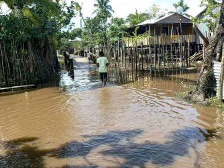 Fotos: Varias comunidades de Gracias a Dios quedaron totalmente inundadas por la tormenta Julia