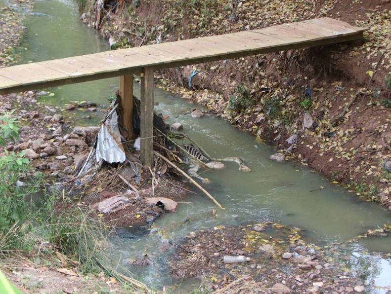 Putrefacto y en una quebrada encuentran cadáver en colonia Villa Olímpica en la capital