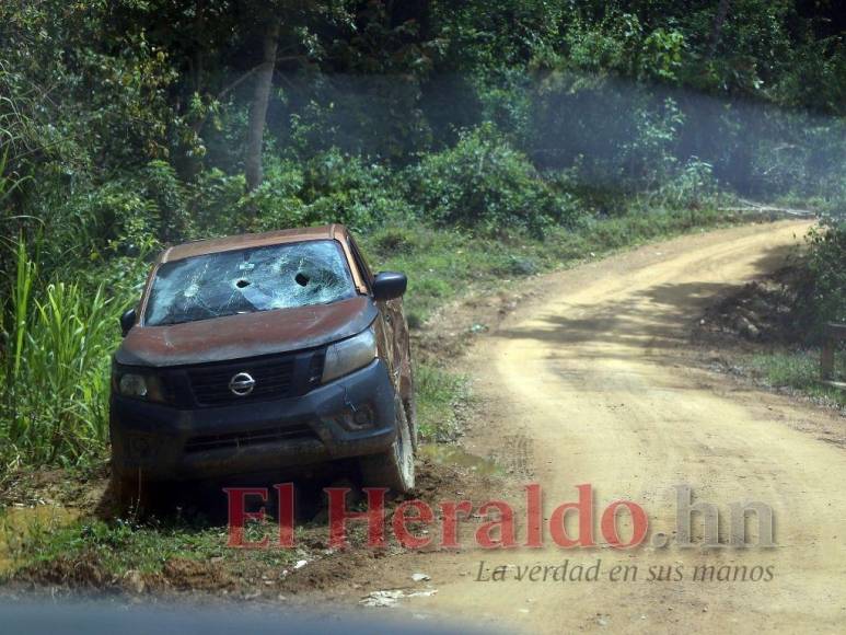 Destrucción, amenazas, ranchos y ganado: Así se maneja la tierra en la Biósfera del Río Platano