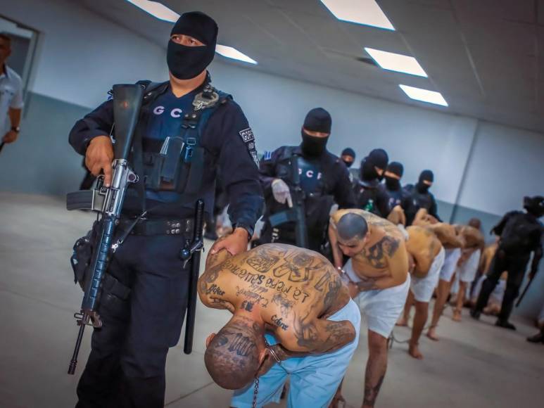 Tatuados, descalzos y esposados: impresionantes fotos de miles de pandilleros llegando a la megacárcel de El Salvador