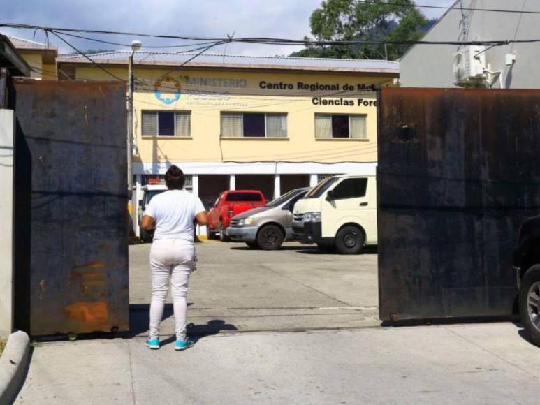 Trabajador, apasionado y padre: Así era el joven veterinario asesinado en Ticamaya