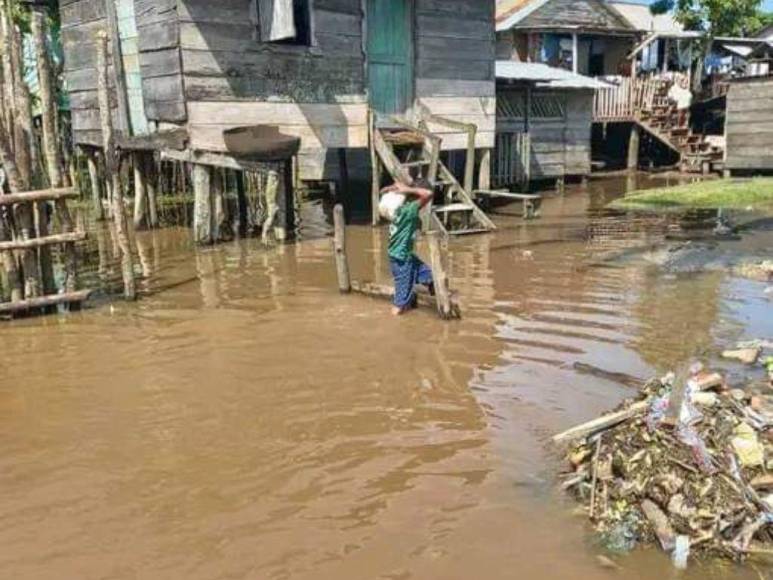 Fotos: Varias comunidades de Gracias a Dios quedaron totalmente inundadas por la tormenta Julia