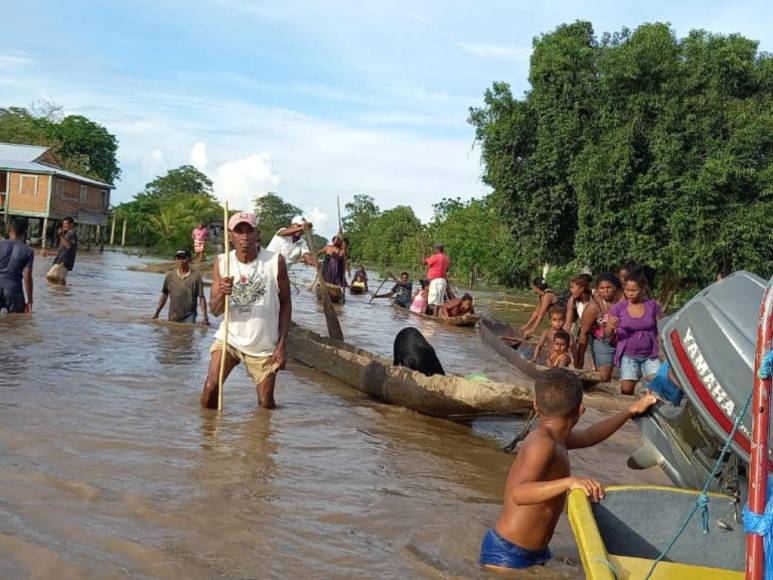 Fotos: Varias comunidades de Gracias a Dios quedaron totalmente inundadas por la tormenta Julia