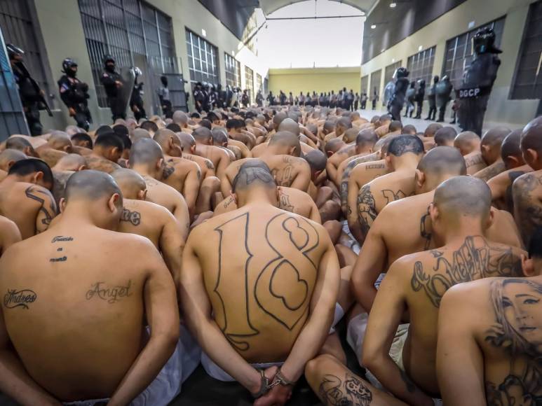 Tatuados, descalzos y esposados: impresionantes fotos de miles de pandilleros llegando a la megacárcel de El Salvador