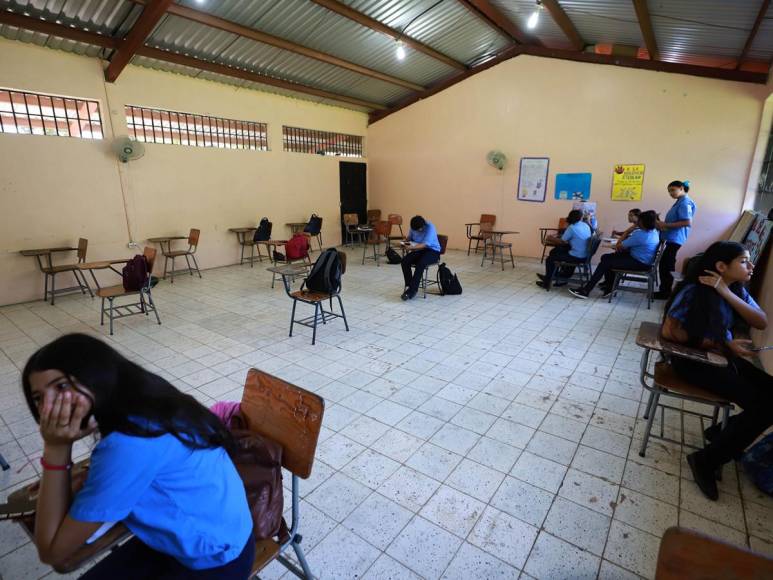 Matrícula Gratis impulsa leves mejoras, mientras carencias persisten en escuelas rurales