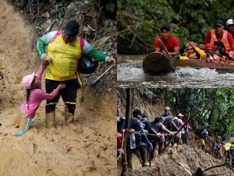 La selva del Darién: mafias, violencia sexual y animales, los peligros del conocido “tapón” de los migrantes