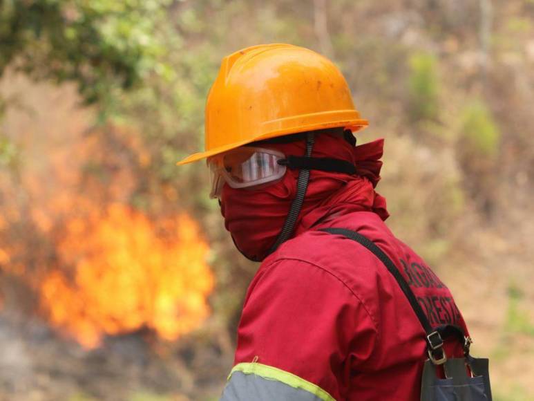 Cansados y sofocados: militares y bomberos trabajan sin cesar para apagar incendio en La Tigra