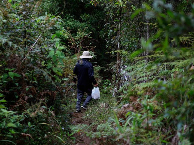 Una cartera con las iniciales HH, escombros y un monumento: nuevas fotos de la zona donde murió Hilda Hernández