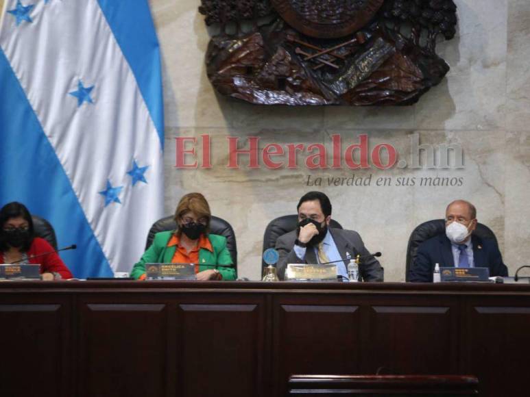 Del homenaje a Carolina Echeverría a la tensión por comisionada del Conadeh: Así se desarrolló la sesión del CN