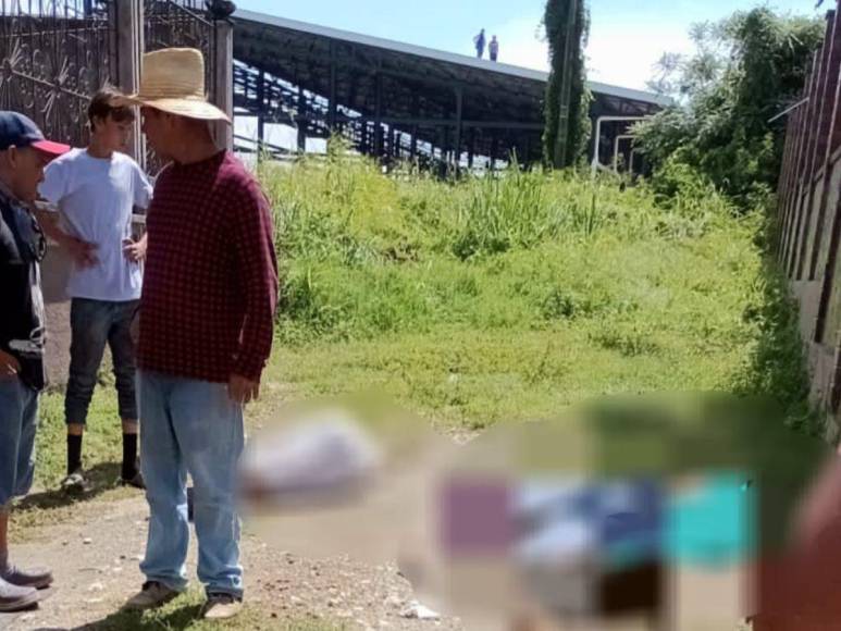 Tres hermanos y un aterrador rótulo: masacre de 5 personas inunda de luto a Baracoa