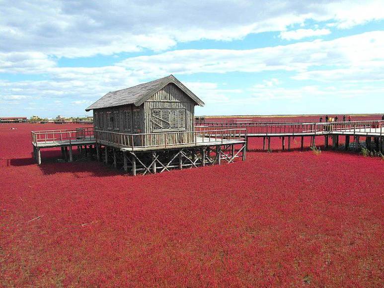 Los 20 lugares más raros y únicos del mundo