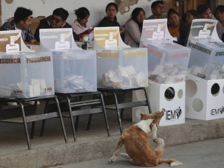 Elecciones en México se desarrollan “sin incidentes mayores”, dice el INE