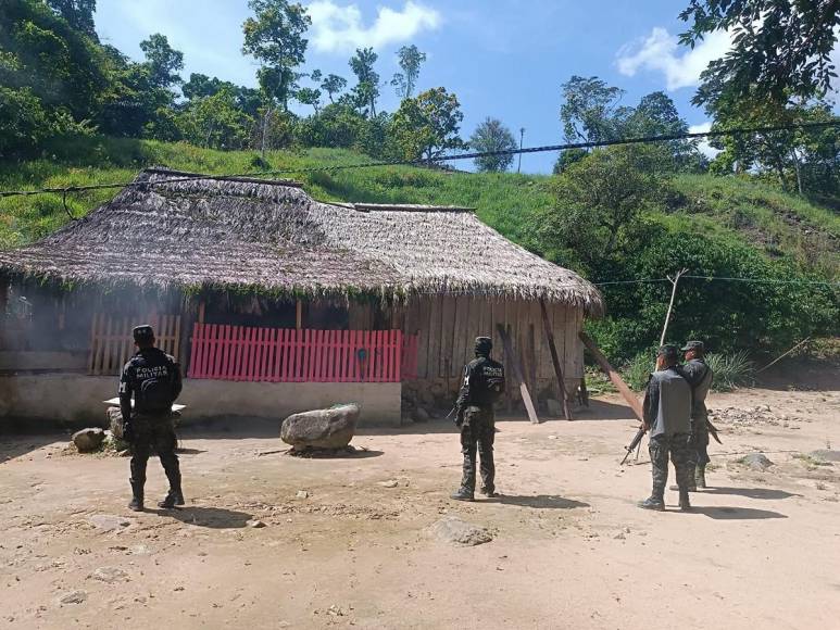 Invadidas, deforestadas o con cultivos prohibidos están varias zonas protegidas