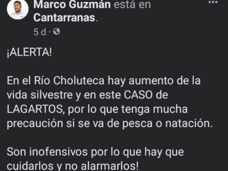 Alerta en Cantarranas y alrededores por presencia de cocodrilos en los ríos