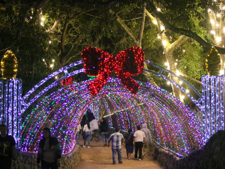 Luces navideñas adornan las noches en El Picacho